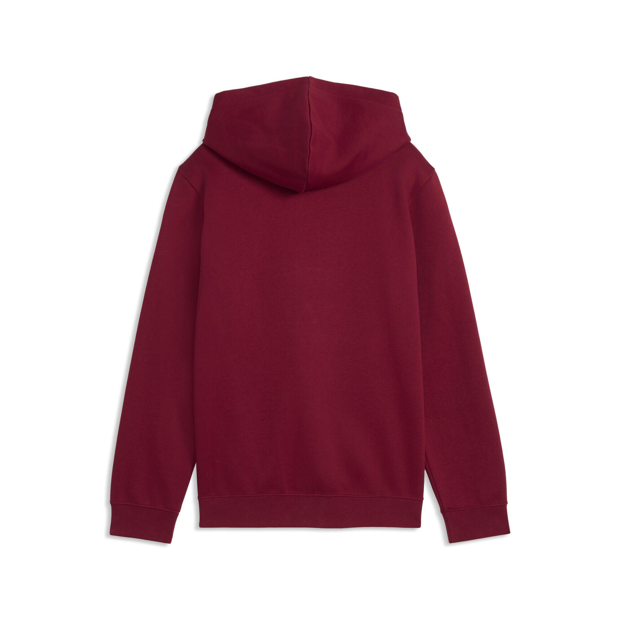 ESS No. 1-logo fleece hoodie voor jongeren PUMA 5/5