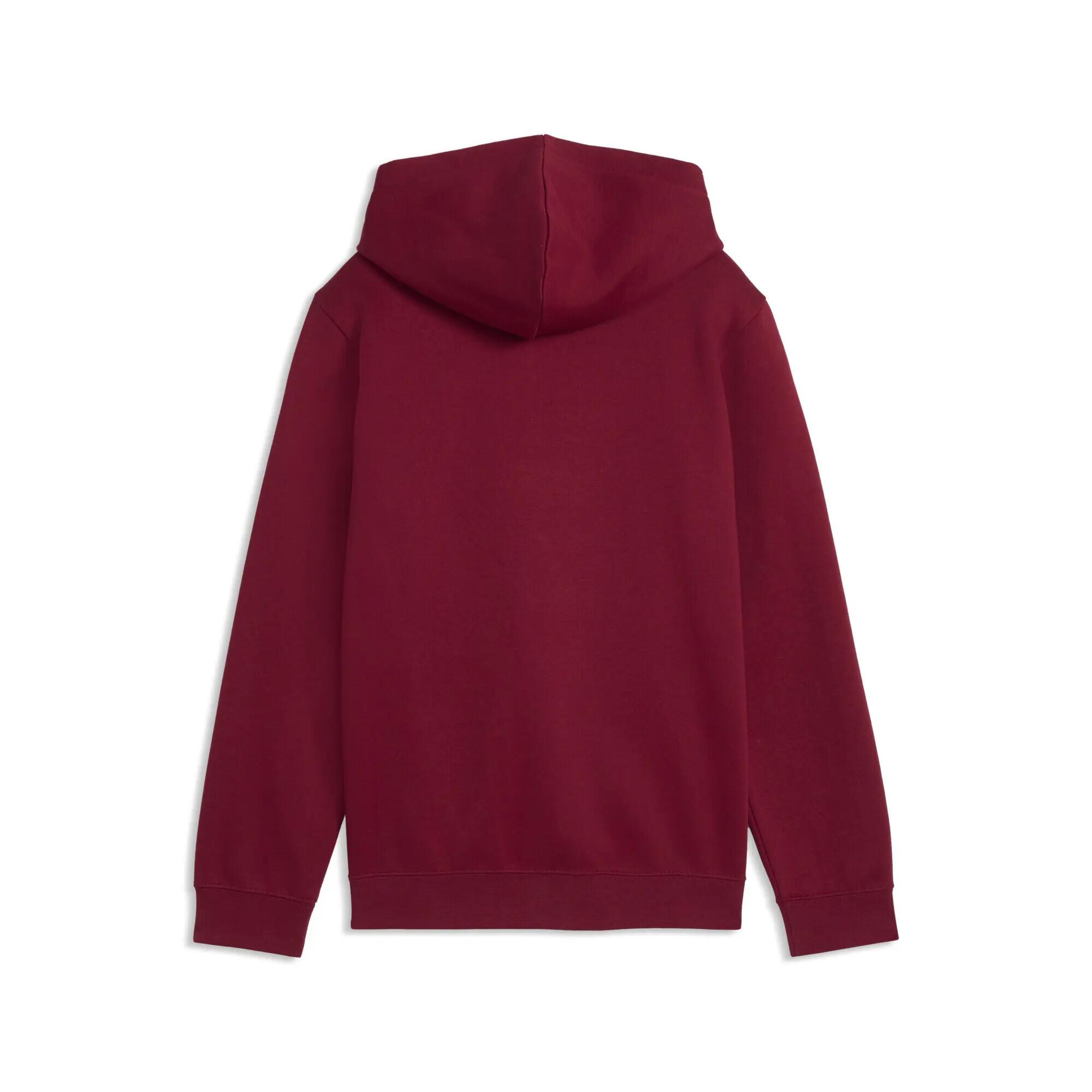 Manga Infantil Confortável No. 1 Logo Fleece-Hoodie PUMA 5/5