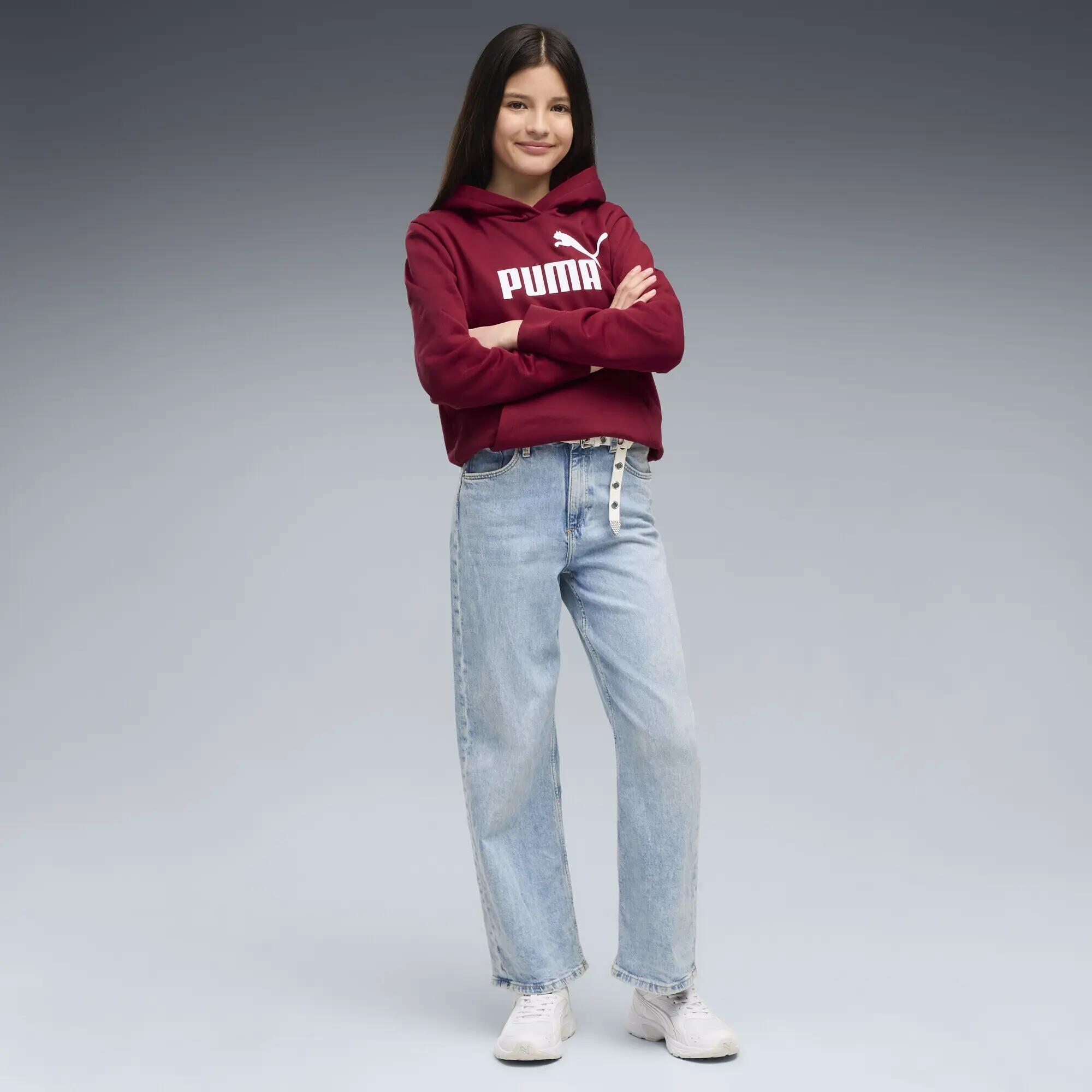 Manga Infantil Confortável No. 1 Logo Fleece-Hoodie PUMA 4/5