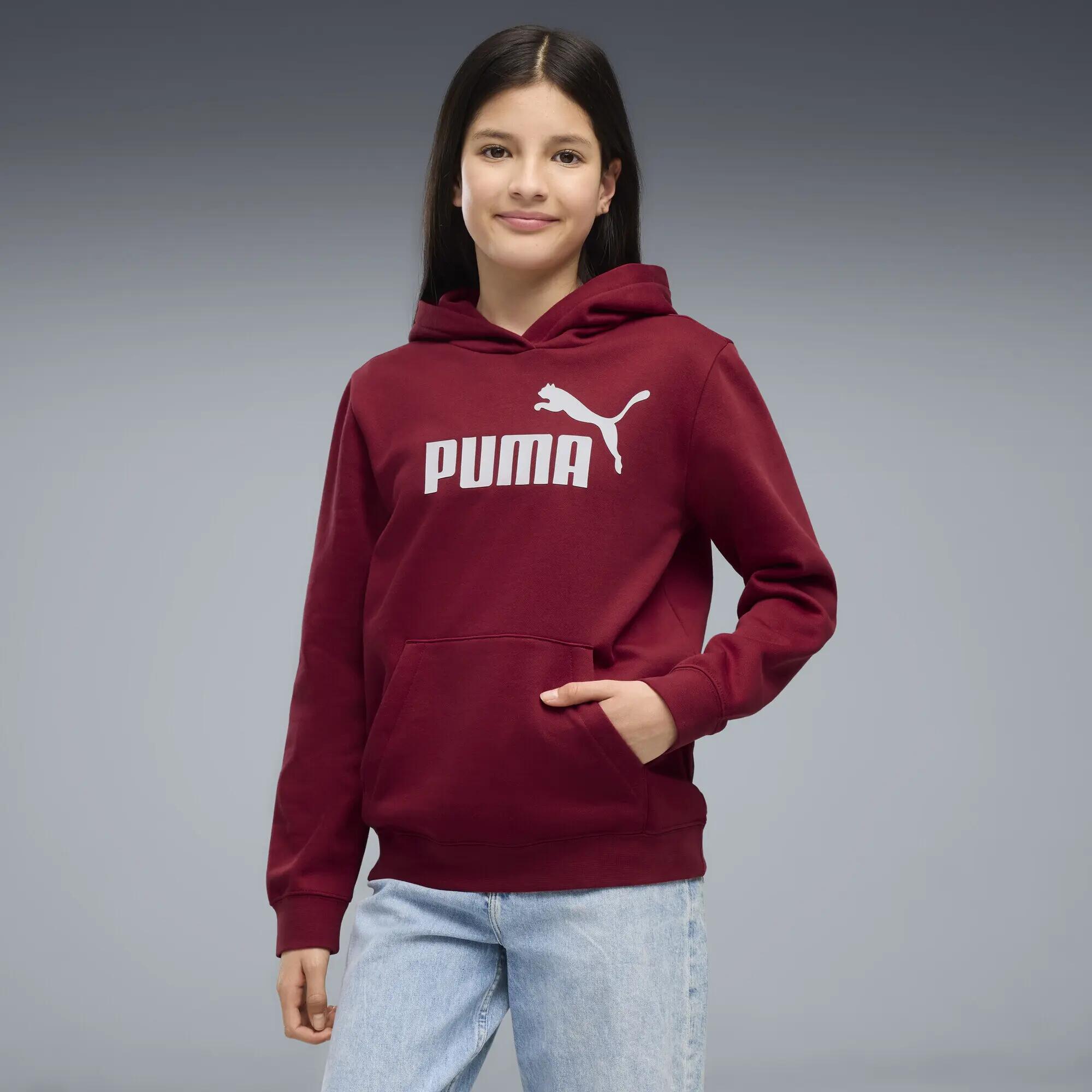 Manga Infantil Confortável No. 1 Logo Fleece-Hoodie PUMA 2/5