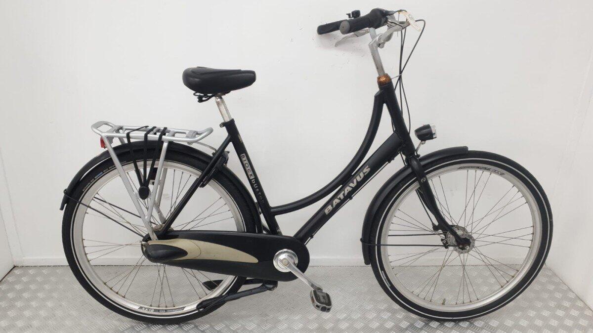 BATAVUS picture