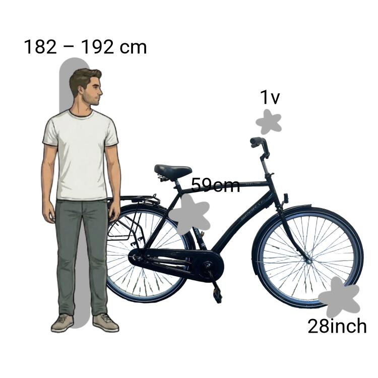 Bicicletta usata Sparta Atlas 2/4