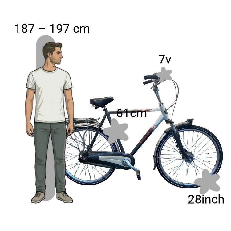 Bicicletta usata Gazelle Cadiz 2/4