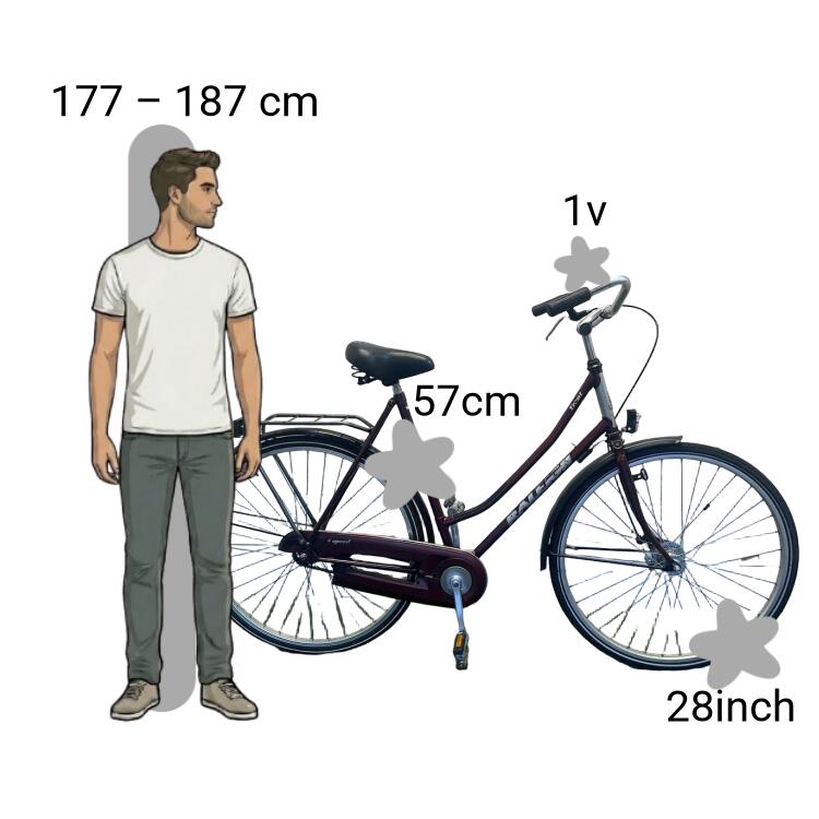 Vélo d’occasion Raleigh Trent 2/4