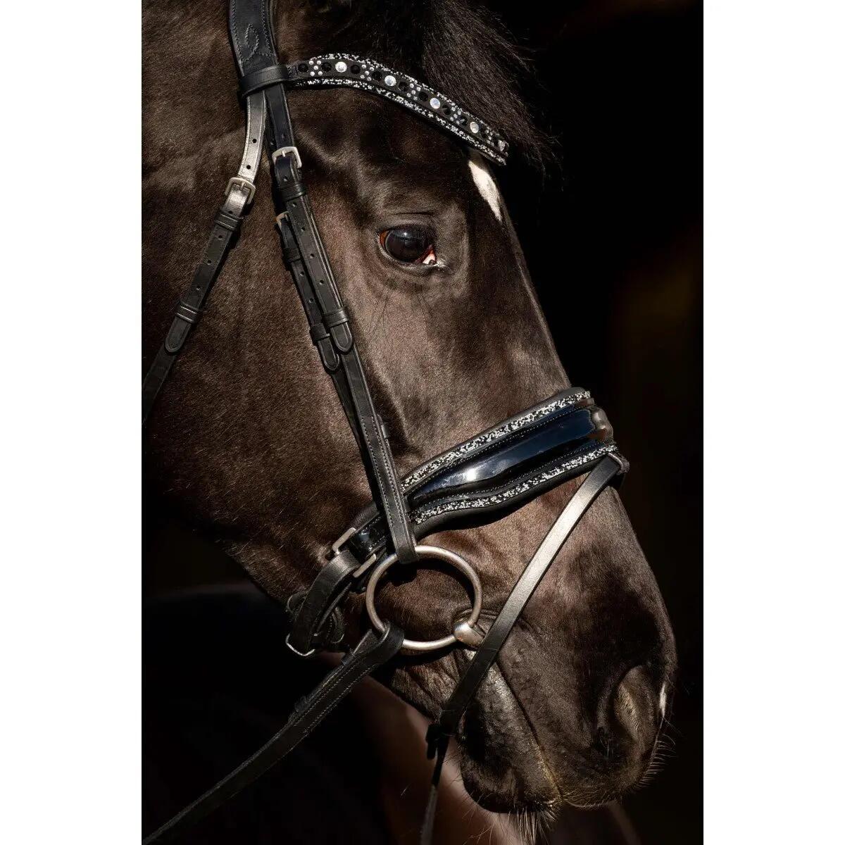 Hb Showtime Black River Trenshoofdstel Zwart - 4/4