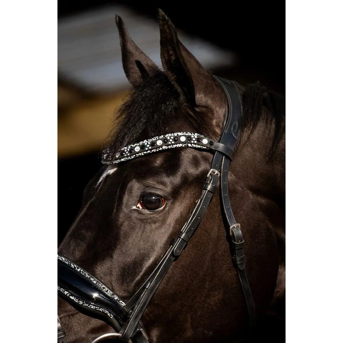 Hb Showtime Black River Trenshoofdstel Zwart - 3/4
