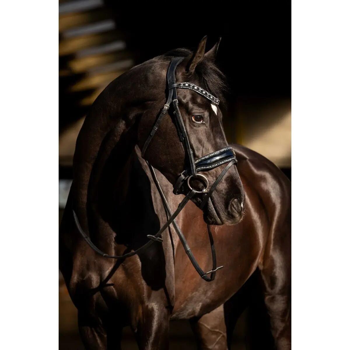 Hb Showtime Black River Trenshoofdstel Zwart - 2/4