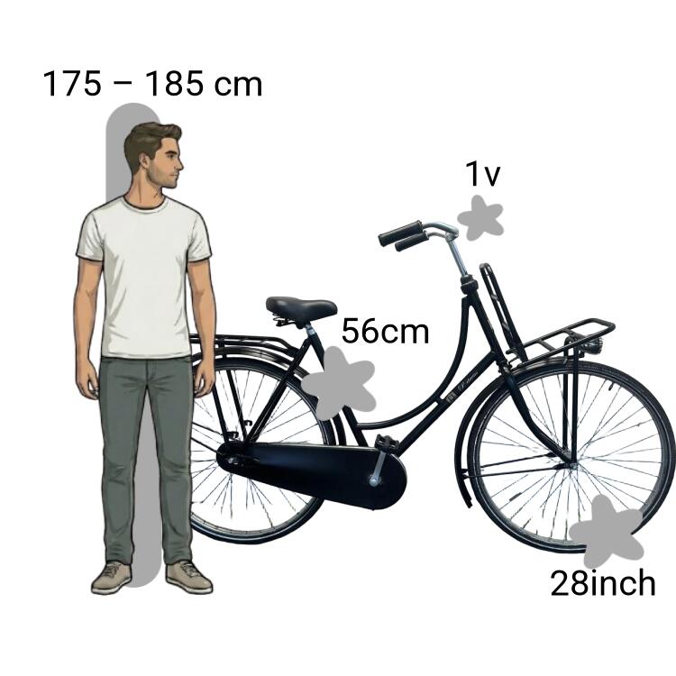Bicicleta usada Batavus Old Dutch 2/4