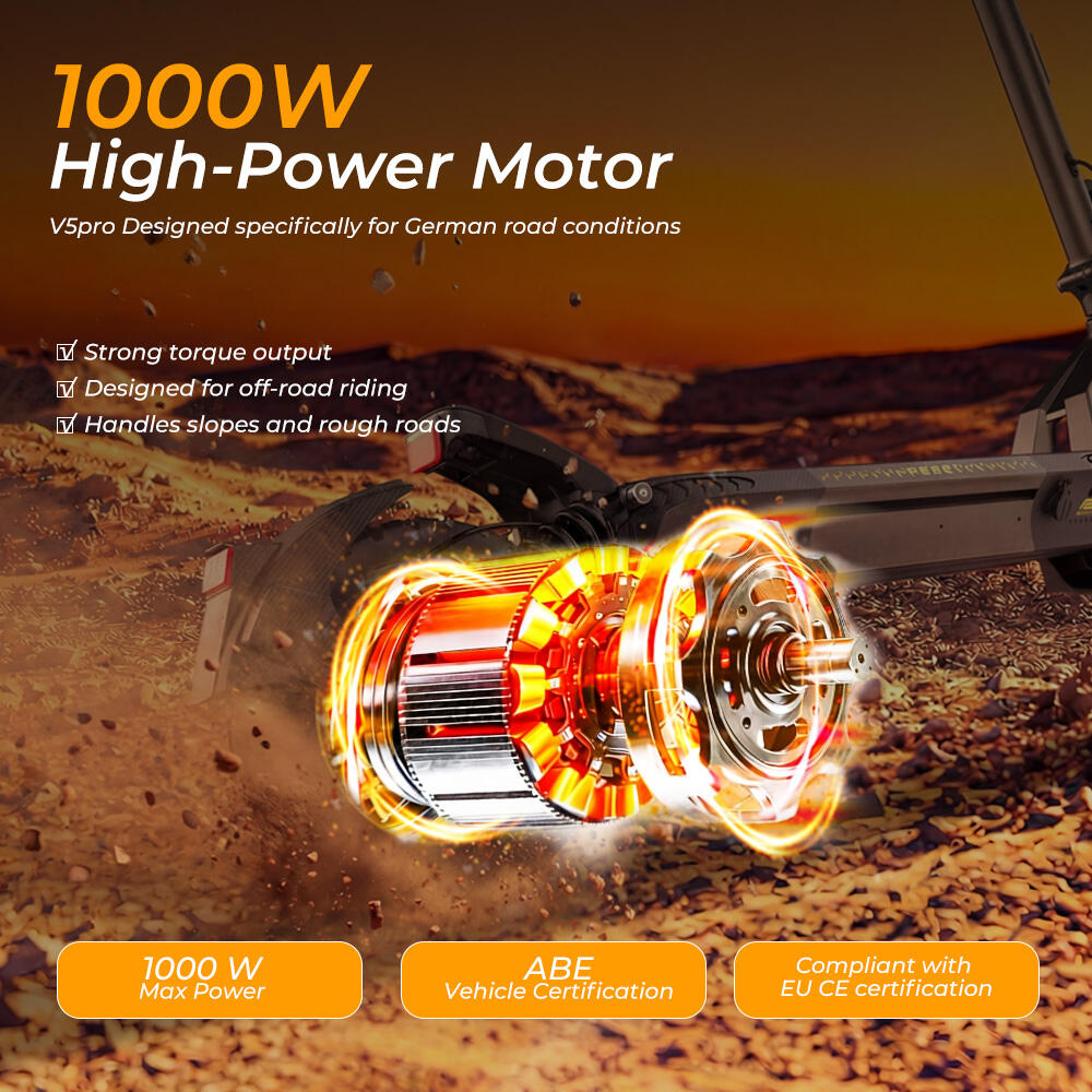 iScooter V5 Pro ABE Scooter elettrico tutto terreno, batteria 48V 12.5Ah 2/7