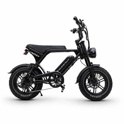 Mini Fatbike Molenstraat Mini MS 350W – Batterie 375Wh – 25 km/h