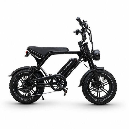 Mini Fatbike Molenstraat Mini MS 350W – Batterie 375Wh – 25 km/h