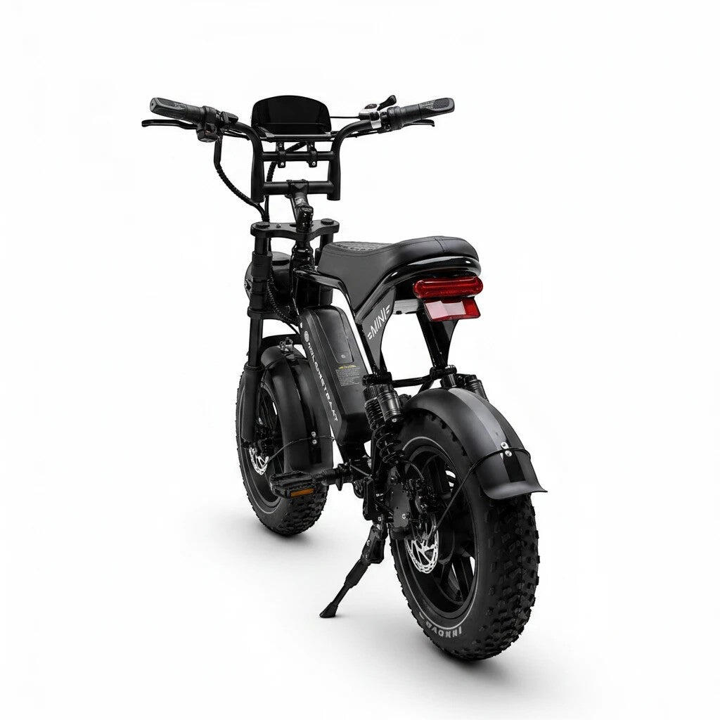 Molenstraat Mini MS Fatbike 350W – 375Wh Akku – 25 km/h 4/5