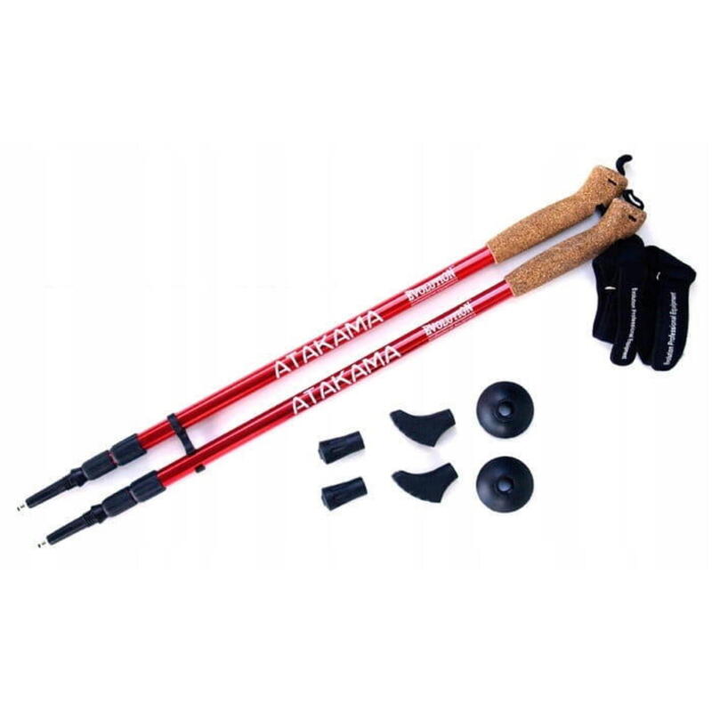 Kije nordic walking Evolution Professional Equipment Atakama 3-sekcyjne