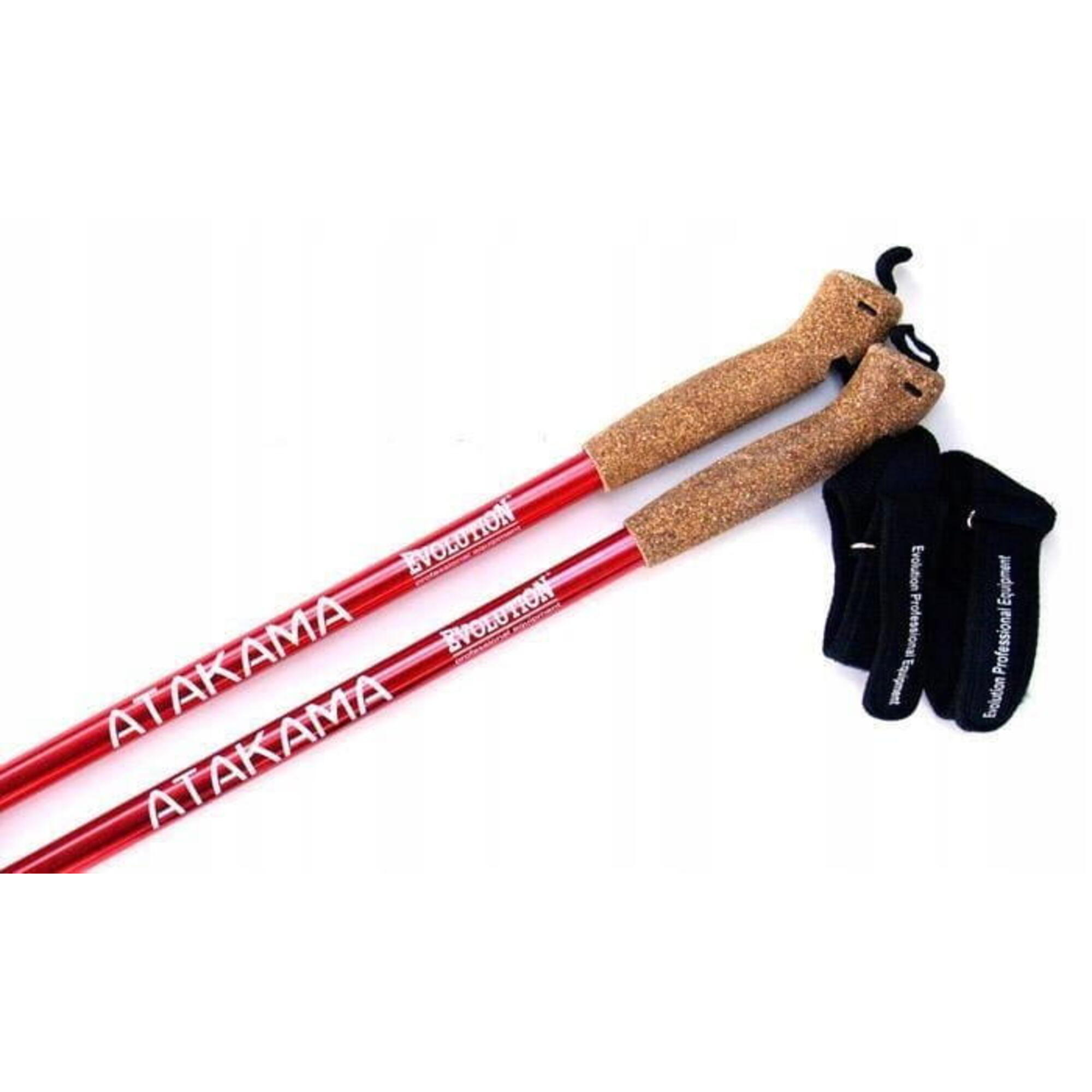 Kije nordic walking Evolution Professional Equipment Atakama 3-sekcyjne 3/3