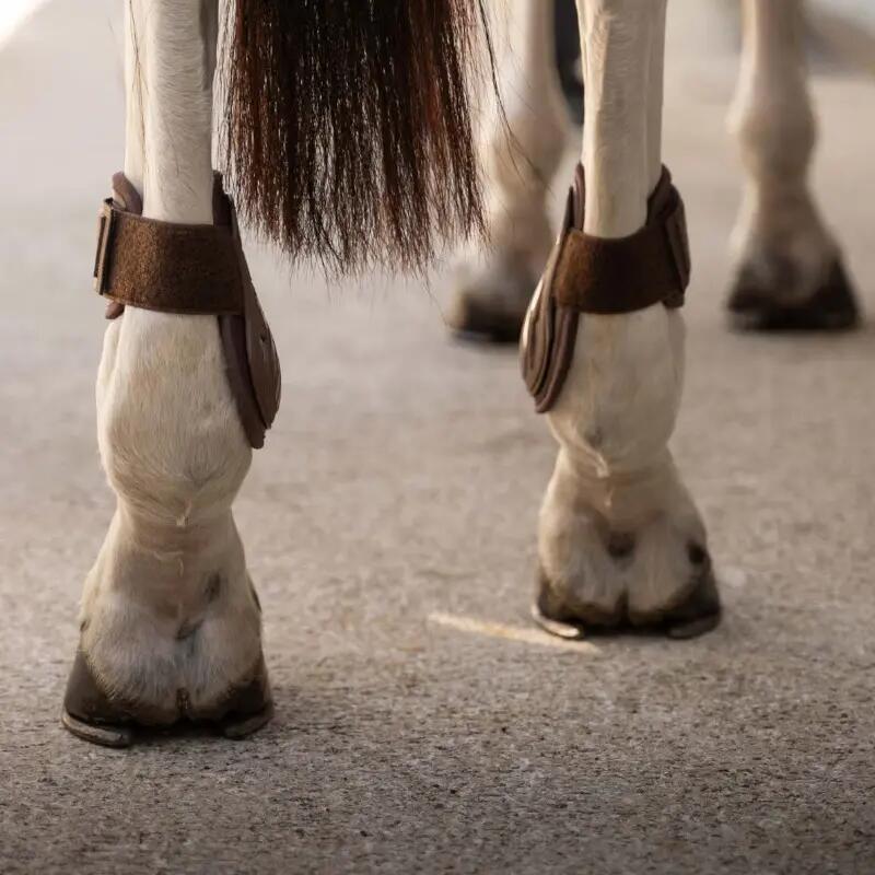 Vetlokbeschermers voor pony's Kentucky Horsewear Pro 5/7