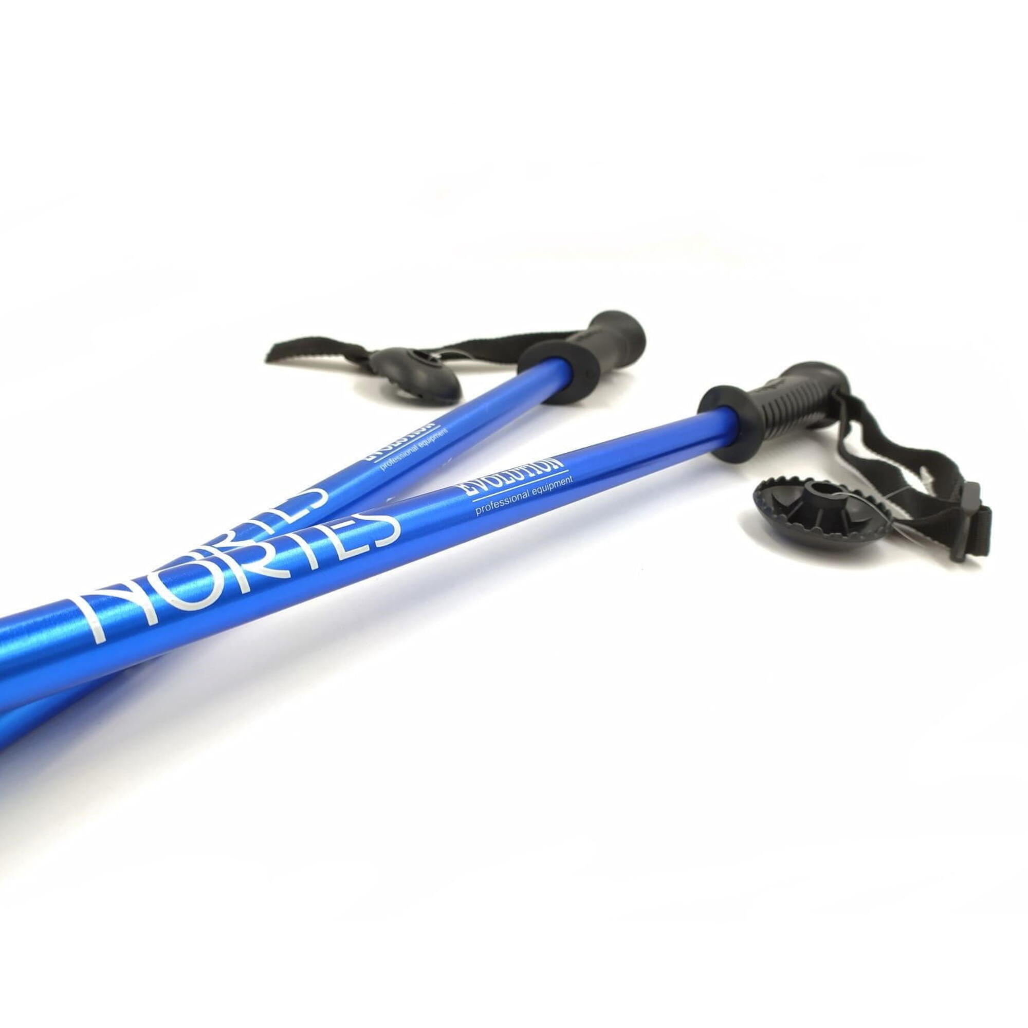 Kije trekkingowe Evolution Professional Equipment Nortes 3-sekcyjne 4/5