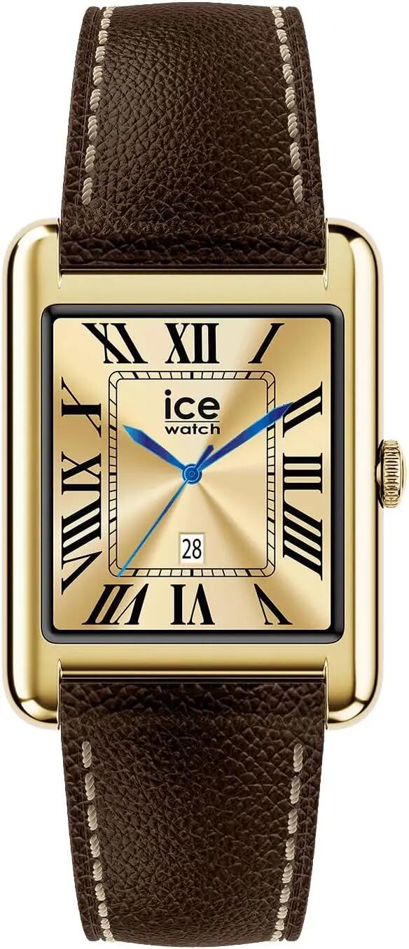 ICE WATCH picture