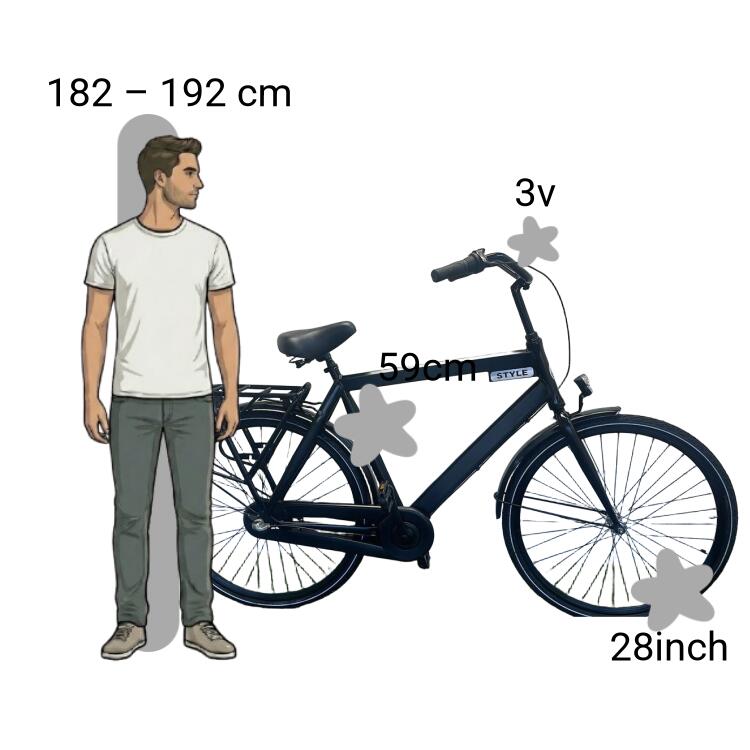 Bicicletta usata Avalon Style 2/4