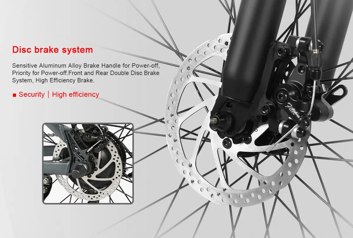 SY26-II bicicletă electrică pentru adulți, baterie 36V 13Ah, roți 26". 13/15