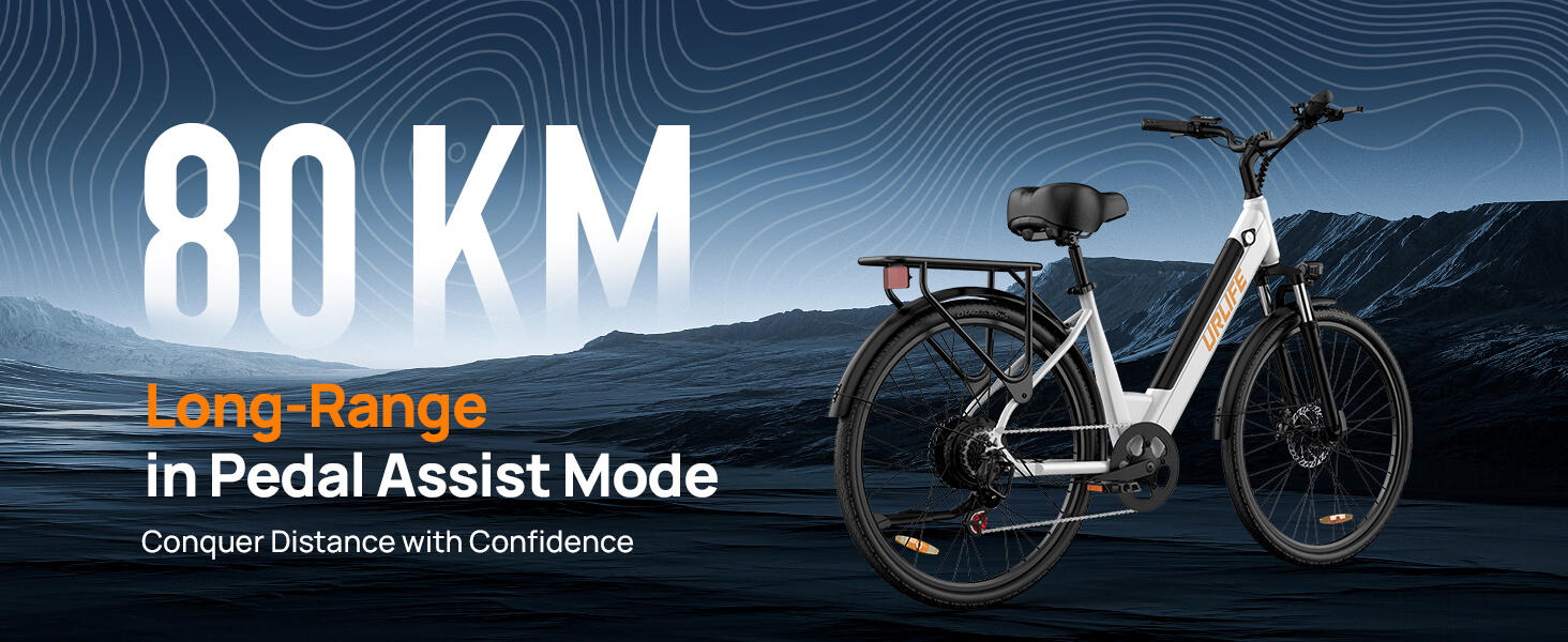 Bicicleta elétrica para adultos URLIFE E26 Bateria 36V 13AH Pneu 26 polegadas 11/15