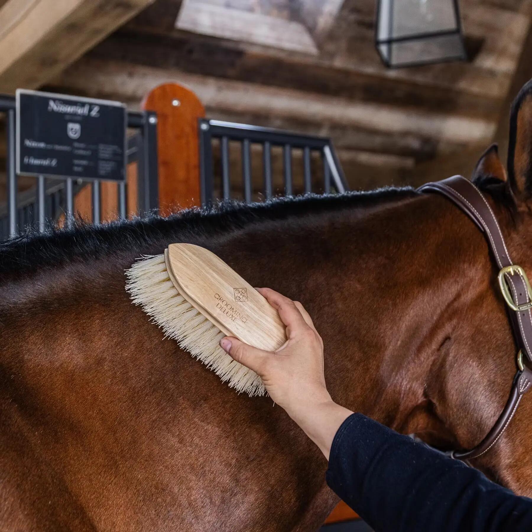 Escova de madeira para cavalo Grooming Deluxe Classic long 5/5