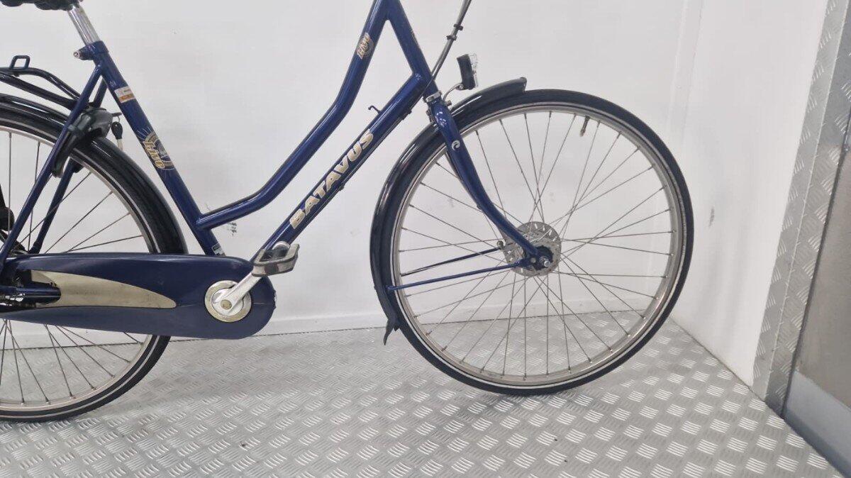 BATAVUS picture