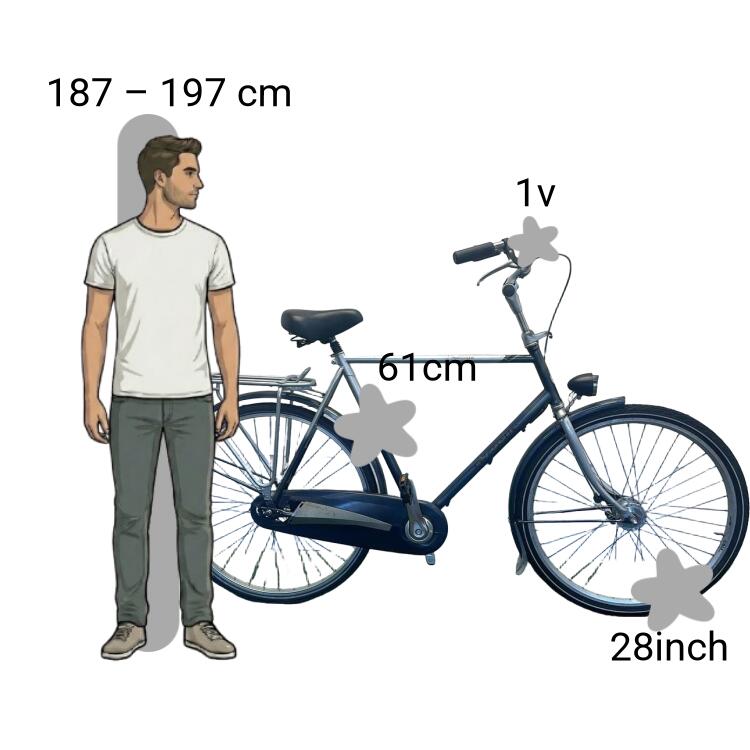 Bicicletta usata Gazelle Impala 2/4