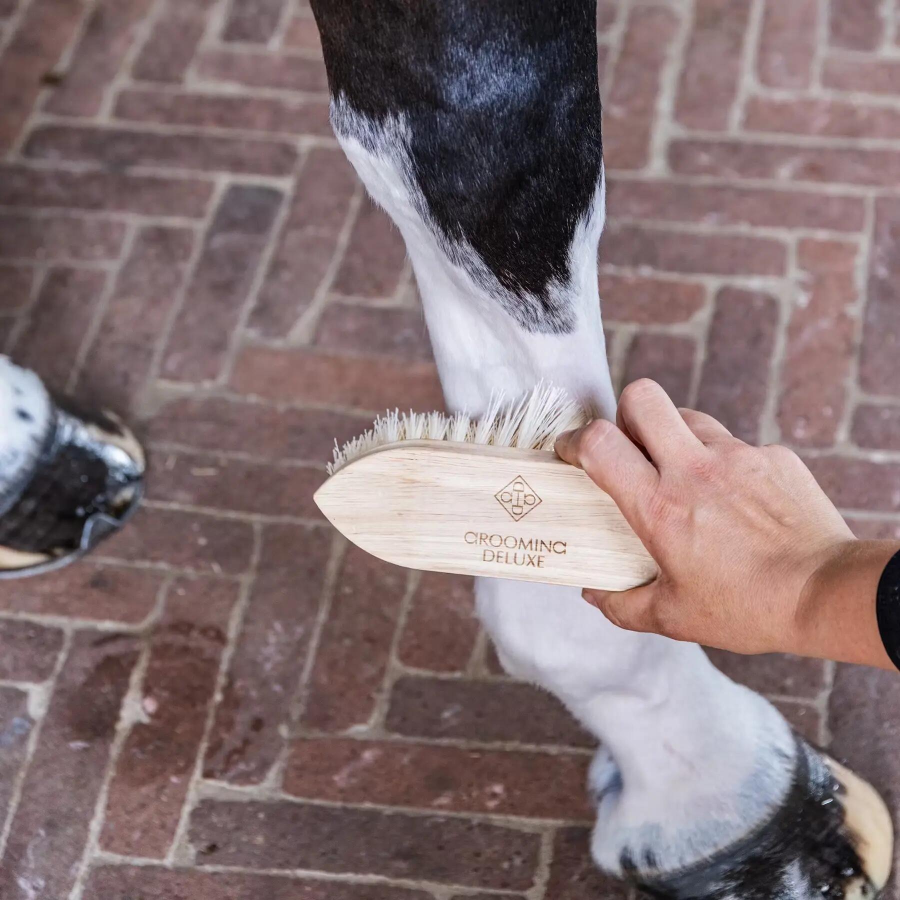 Brosse pour cheval en bois Grooming Deluxe Classic short 5/5
