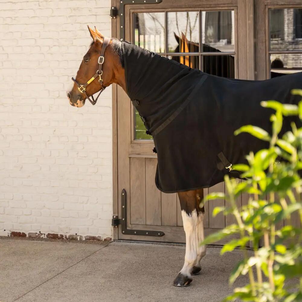 Manta de lã para cavalos com cobertura para o pescoço Kentucky Horsewear 3/7