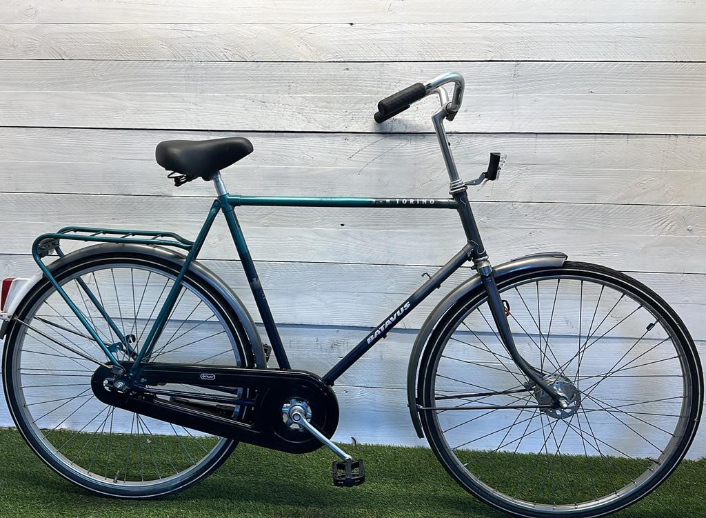 BATAVUS picture