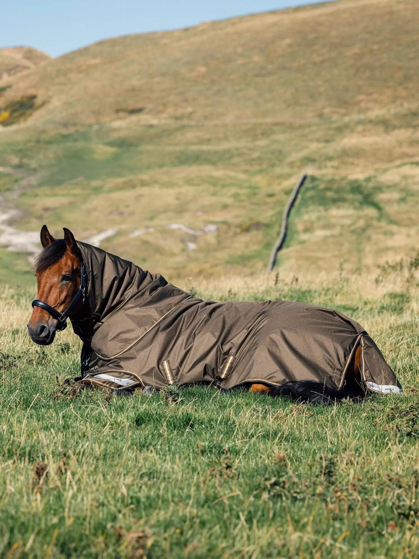Lemieux Arika 600d Ripstop Outdoordeken Alpine Kleurloos - 5/5