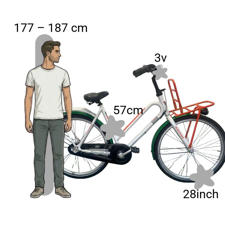Bicicleta usada Batavus Nationale Postcode Loterij 2/4