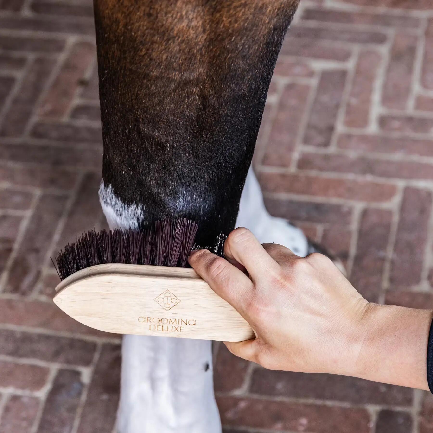 Houten borstel voor een paard Grooming Deluxe Classic short 5/5