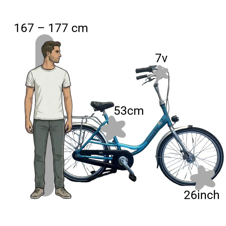 Gebraucht Gazelle Bloom 2/4
