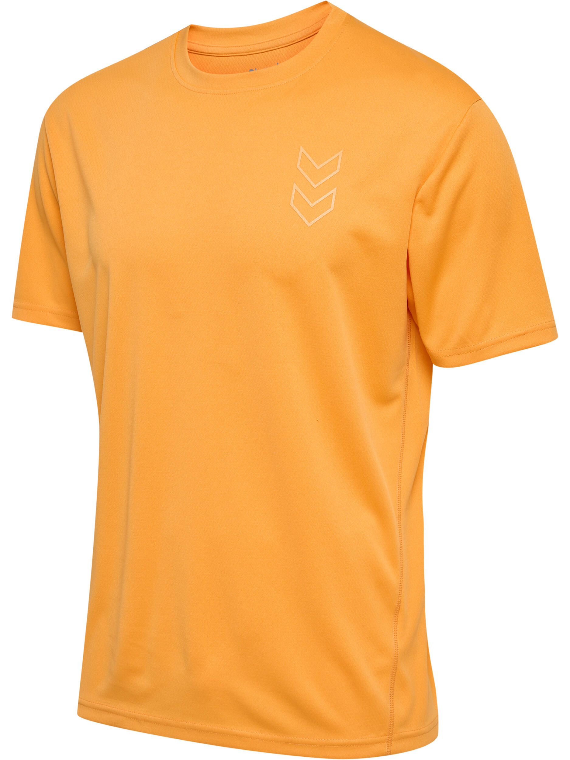 Camisola Hummel Active PL 2/7