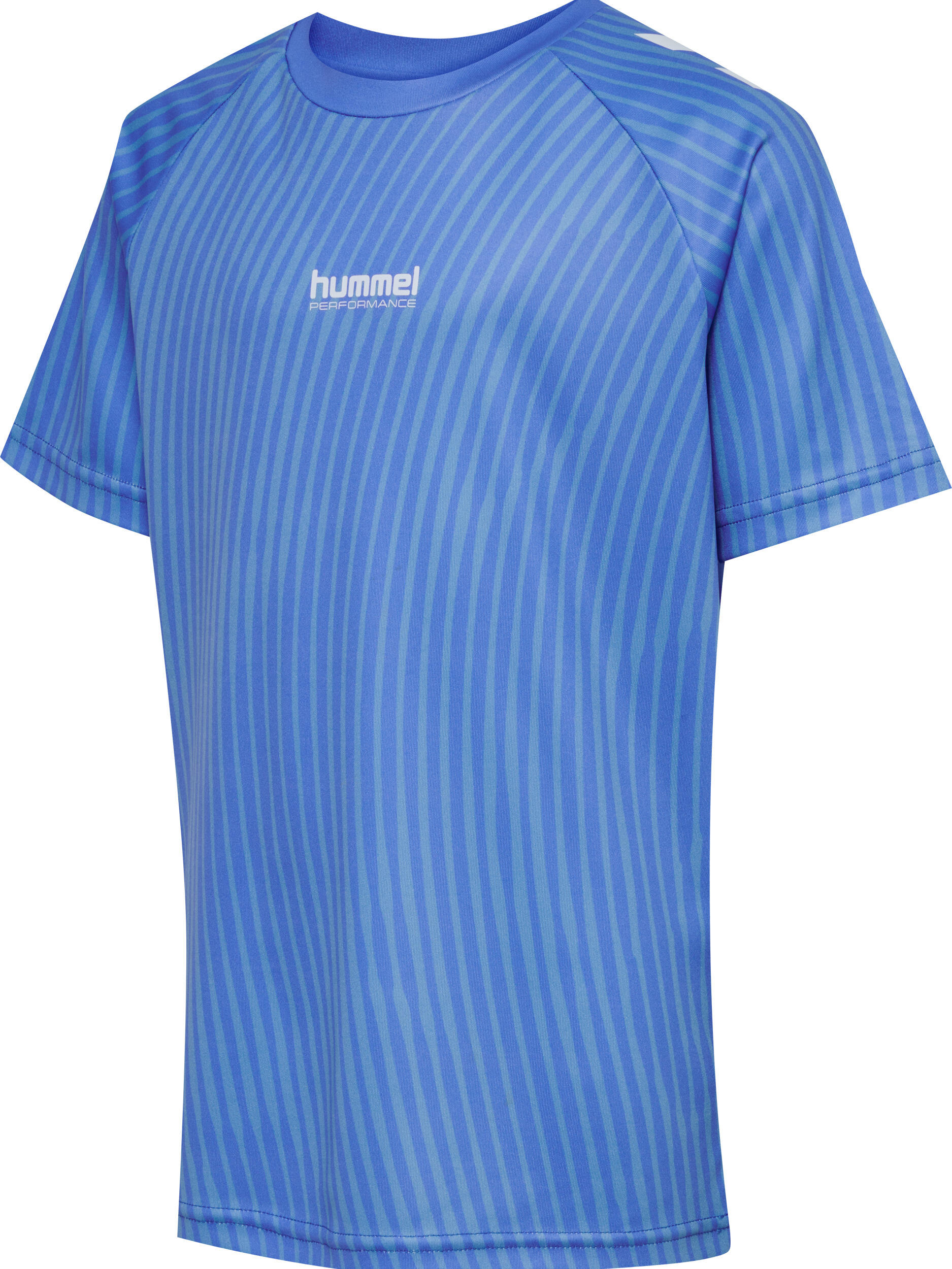 Enfiler T-Shirt Hmljr Goal Entraînement Enfant 2/9