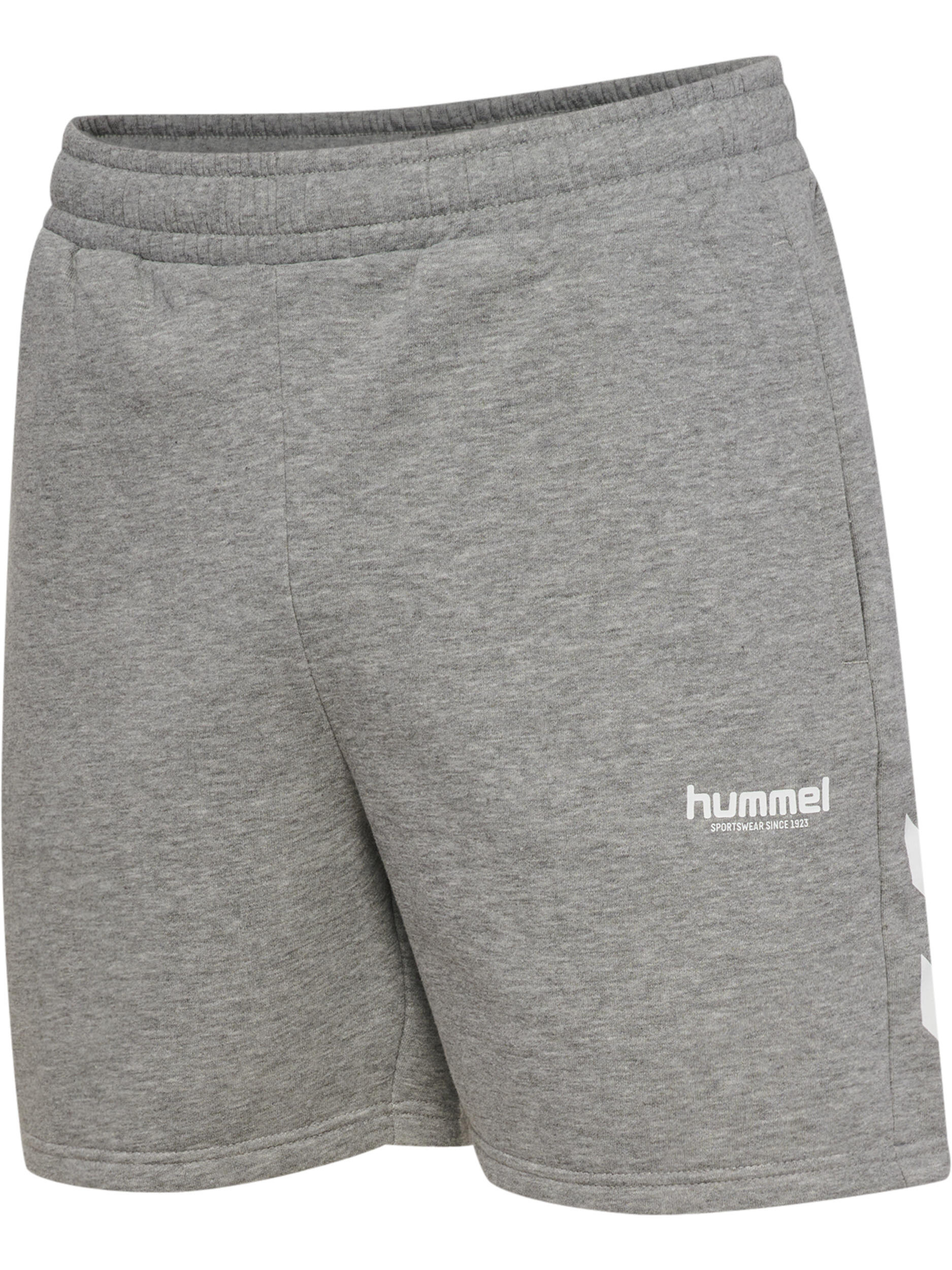 Fermeture À Cordon Short Hmllegacy Homme 2/7