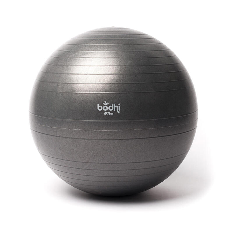 Minge de gimnastica 65 cm