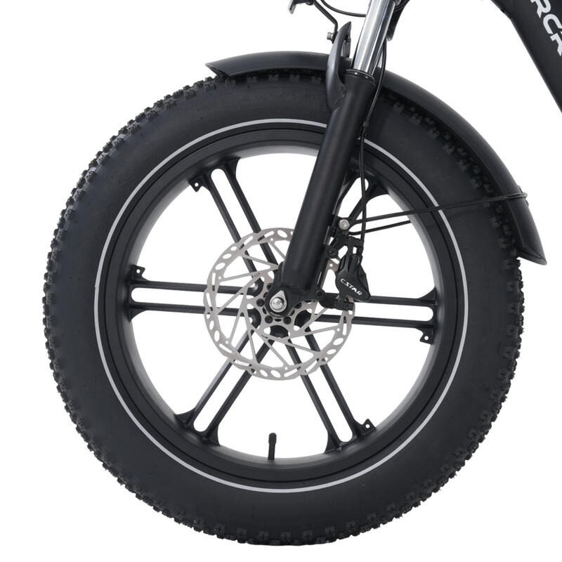 Bicicletă Electrică EK6 Ultra-Senzor de cuplu-20x4.0 Fat Tires-Baterie 864Wh