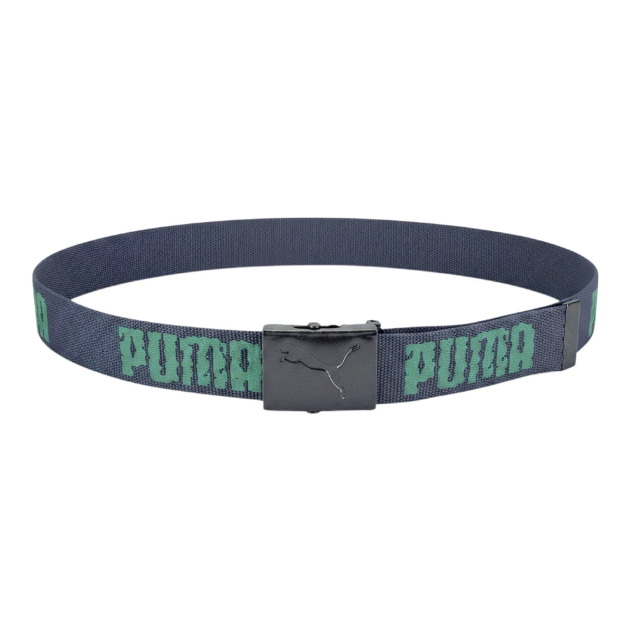 PUMA picture