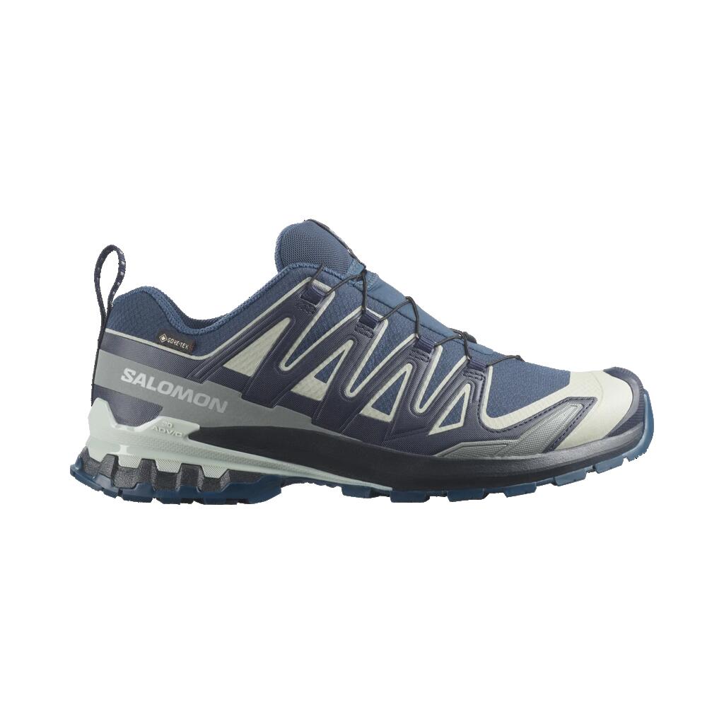 Men running Shoes Salomon XA PRO 3D V9 GTX