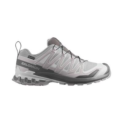 Schoenen trailrunning mannen xa pro 3d v9 gore-tex