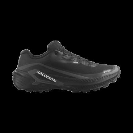 Chaussures Trail running Homme GENESIS 2 GTX