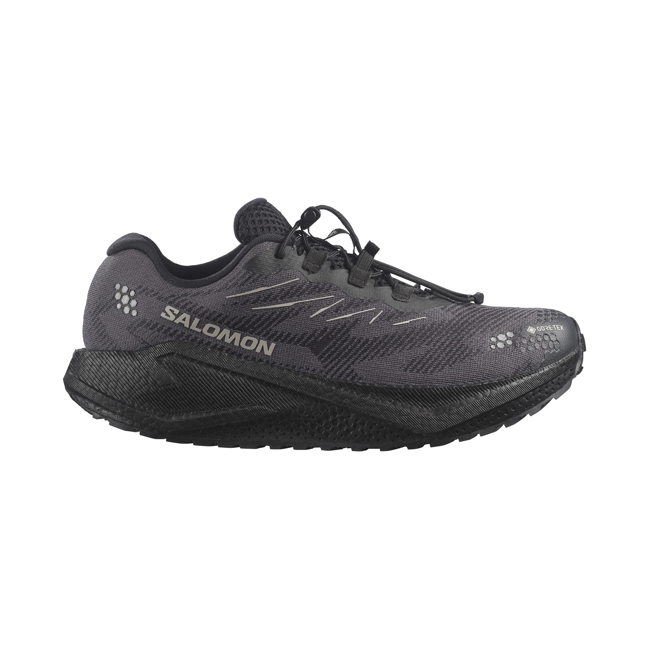 SALOMON picture