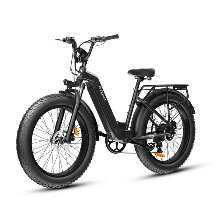 D9 E-Bike für Erwachsene, 48V15Ah Akku, 26×4.0" Fettreifen.