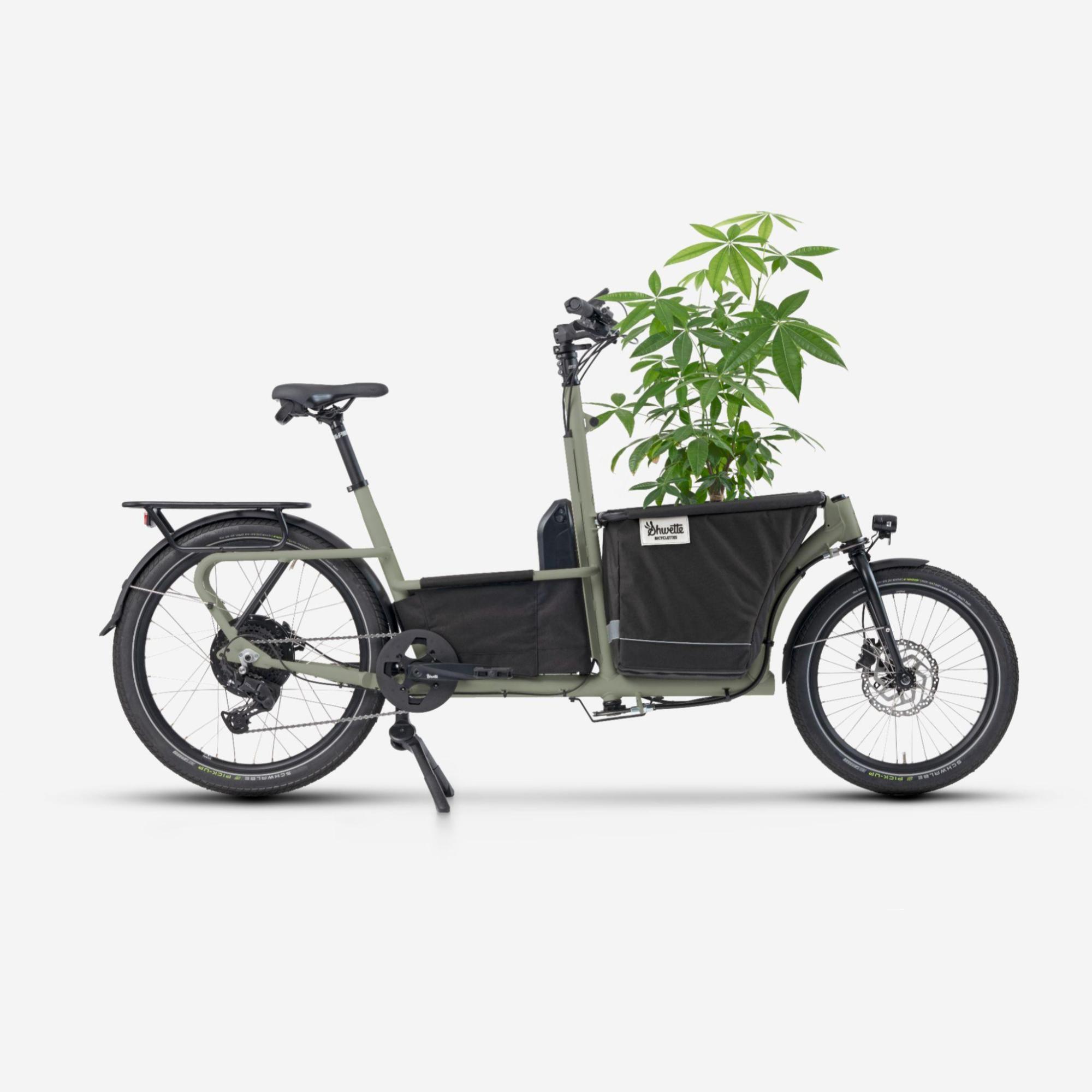 Shwette Baggy vert olive gloss - Caisse noire 6/7