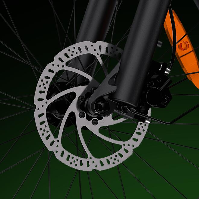 D9 bicicletă electrică pentru adulți, baterie 48V 15Ah și roți de 26x4.0”