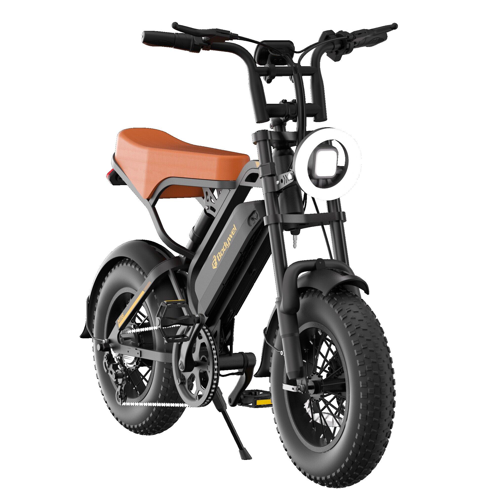 M16 bici elettrica adulti, batteria 48V13Ah, pneumatici grassi 16×4.0", IPX4 2/13