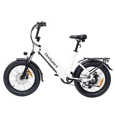 F20 elektrische fiets voor volwassenen, 48v15ah accu, 20×3.0" banden.