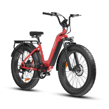 D9 E-Bike für Erwachsene, 48V15Ah Akku, 26×4.0" Fettreifen.